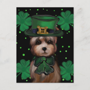 Yorkie Poo Briefkaart