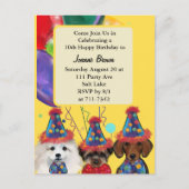 Yorkie Poo  Briefkaart (Voorkant)