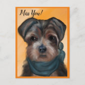 YORKIE POO          BRIEFKAART (Voorkant)