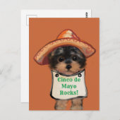 Yorkie Poo Briefkaart (Voorkant / Achterkant)
