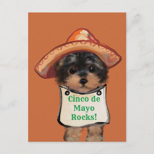 Yorkie Poo Briefkaart (Voorkant)