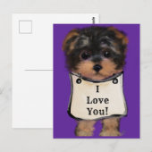 Yorkie Poo Briefkaart (Voorkant / Achterkant)