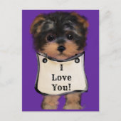 Yorkie Poo Briefkaart (Voorkant)