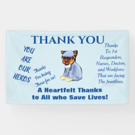 YORKIE POO DOCTOR SPANDOEK