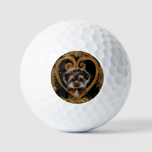 Yorkie Poo Golfballen (Voorkant)