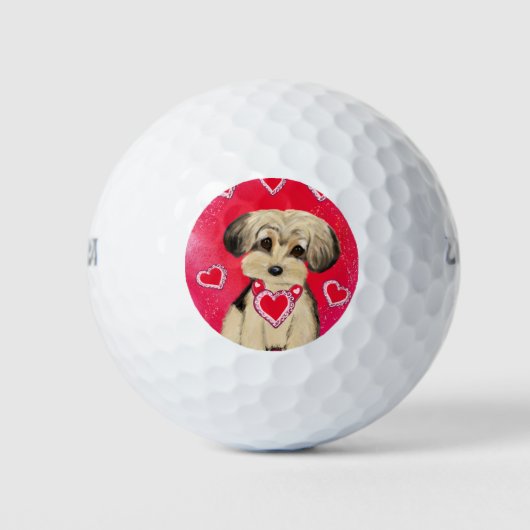 YORKIE POO GOLFBALLEN (Voorkant)
