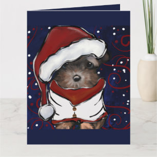Yorkie Poo Kaart