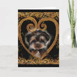 Yorkie Poo Kaart