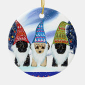 YORKIE POO KERAMISCH ORNAMENT (Voorkant)