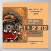 Yorkie Poo Poster (Voorkant)