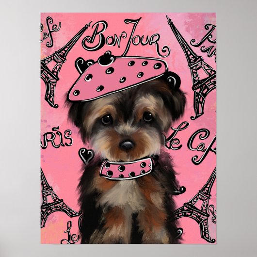 YORKIE POO POSTER (Voorkant)