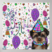 Yorkie Poo Poster (Voorkant)