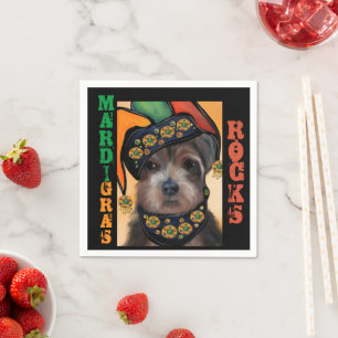 YORKIE POO SERVET