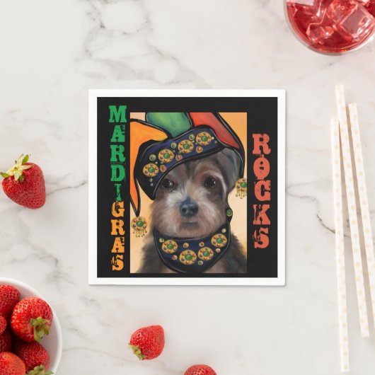 YORKIE POO          SERVET (Insitu)