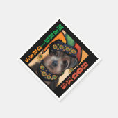 YORKIE POO          SERVET (Hoek)