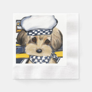 YORKIE POO SERVET