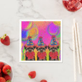 Yorkie Poo Servet (Insitu)