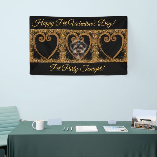 Yorkie Poo Spandoek (Beurs)