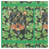 YORKIE POO STOF (Close Up)