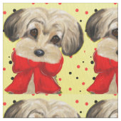 Yorkie Poo Stof (Close Up)