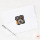 YORKIE POO VIERKANTE STICKER (Envelop)