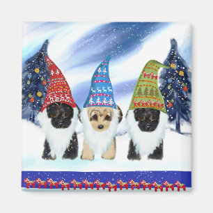 Yorkie Poo Zweden Magneet