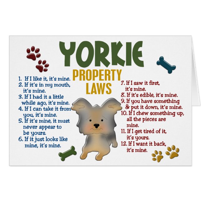Yorkie Property Laws 4 (Voorkant Horizontaal)