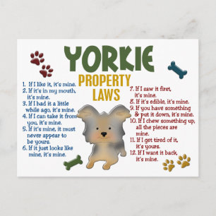 Yorkie Property Laws 4 Briefkaart