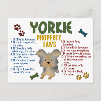 Yorkie Property Laws 4 Briefkaart