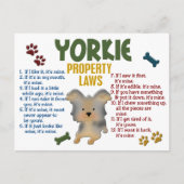 Yorkie Property Laws 4 Briefkaart (Voorkant)
