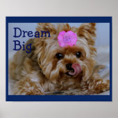 Yorkie Pup met roze ventilator in haar haar Poster (Voorkant)