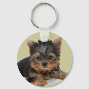 Yorkie Pup Sleutelhanger
