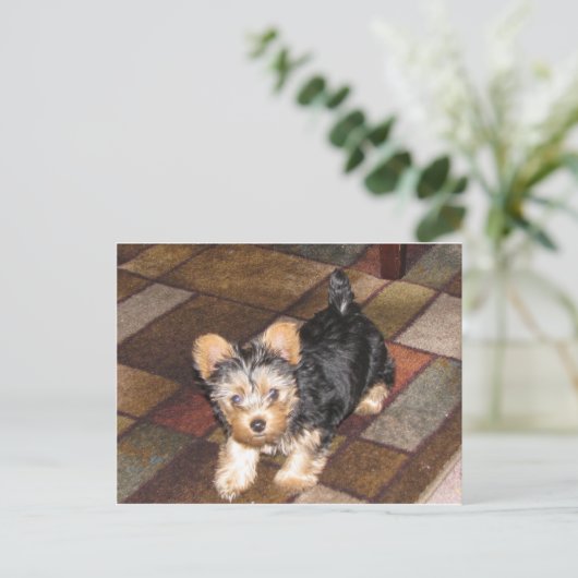 Yorkie Puppy Briefkaart (Staand voorkant)