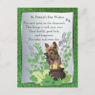 Yorkie Puppy Health Luck Happiness St Patty Wishes Briefkaart
