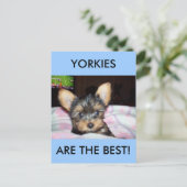 Yorkie Puppy Hondenliefhebber Gifts Briefkaart (Staand voorkant)