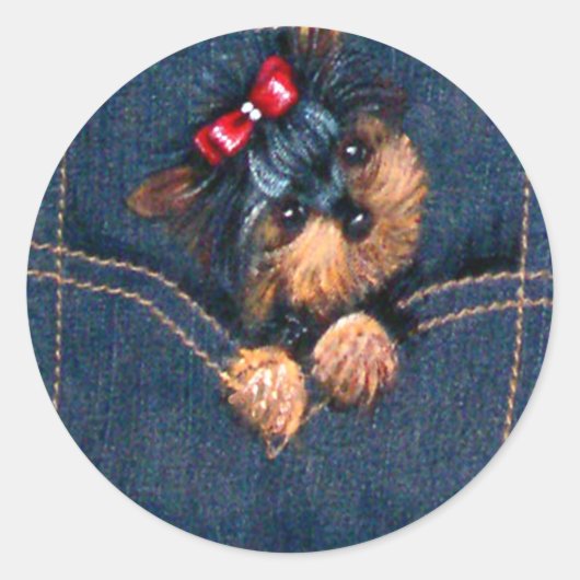 Yorkie Puppy in Pocket Ronde Sticker (Voorkant)