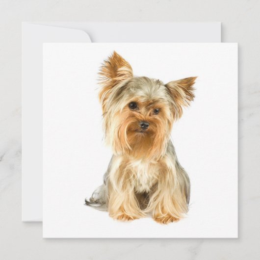 Yorkie Puppy Invitations Kaart (Voorkant)