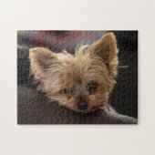 Yorkie Puppy Legpuzzel (Horizontaal)