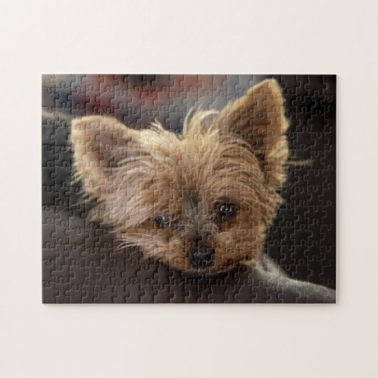 Yorkie Puppy Legpuzzel (Horizontaal)