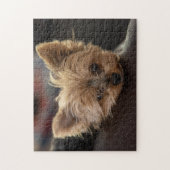 Yorkie Puppy Legpuzzel (Verticaal)