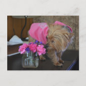 Yorkie Puppy Love  in Pink Briefkaart (Voorkant)