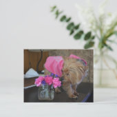 Yorkie Puppy Love  in Pink Briefkaart (Staand voorkant)