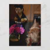 Yorkie Puppy Love Valentijnsdag Fotografisch Briefkaart (Voorkant)