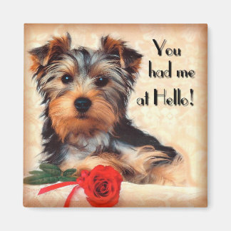 Yorkie Puppy Magnet