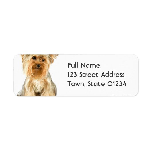 Yorkie Puppy Mailing Labels (Voorkant)