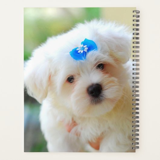 Yorkie Puppy Planner (Achterkant)