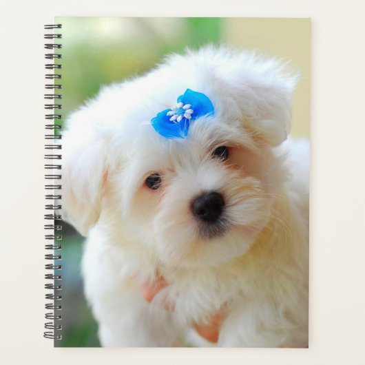 Yorkie Puppy Planner (Voorkant)