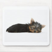 Yorkie Puppy Slapeping Muismat (Voorkant)