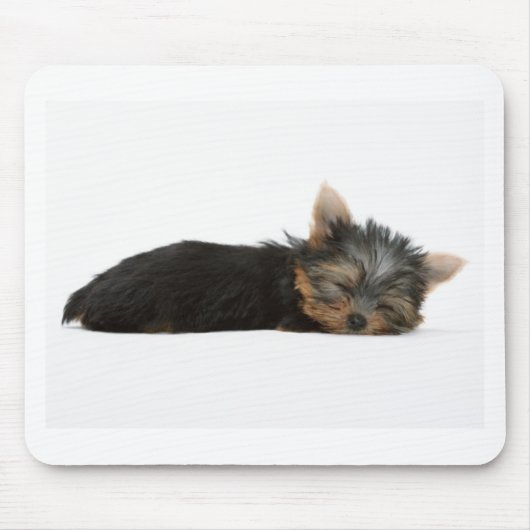 Yorkie Puppy Slapeping Muismat (Voorkant)