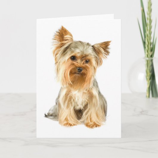 Yorkie Puppy Wenskaart Kaart (Voorkant)